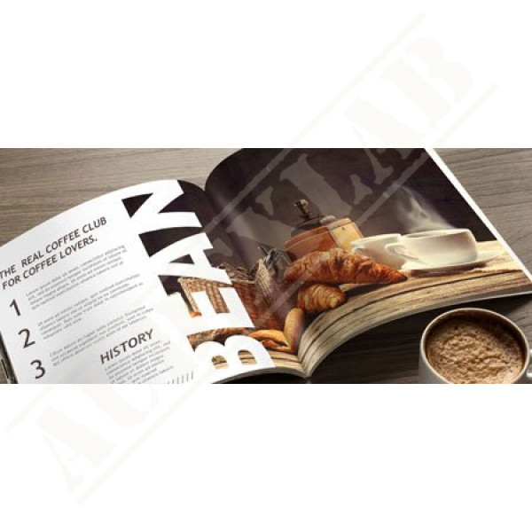 100 Custom Booklets Designed & Printed