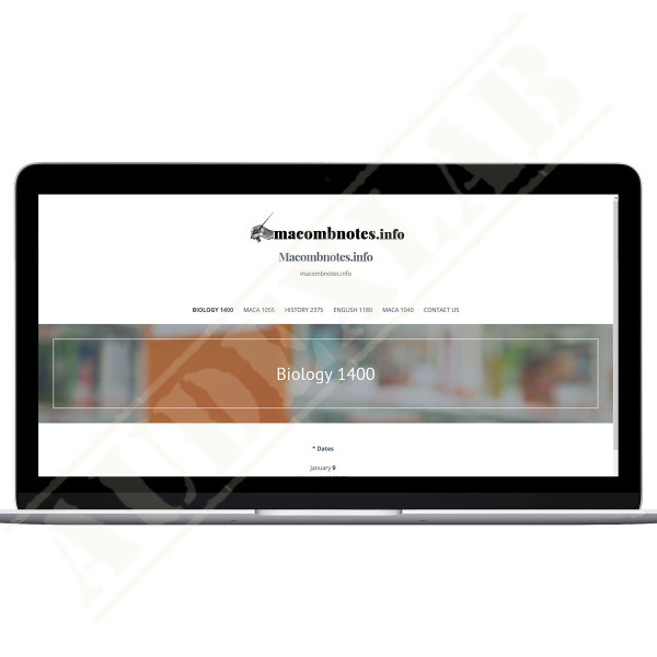 Complete Website w/Hosting & Domain Name